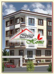 Silver Home