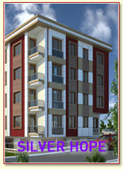 Silver Home